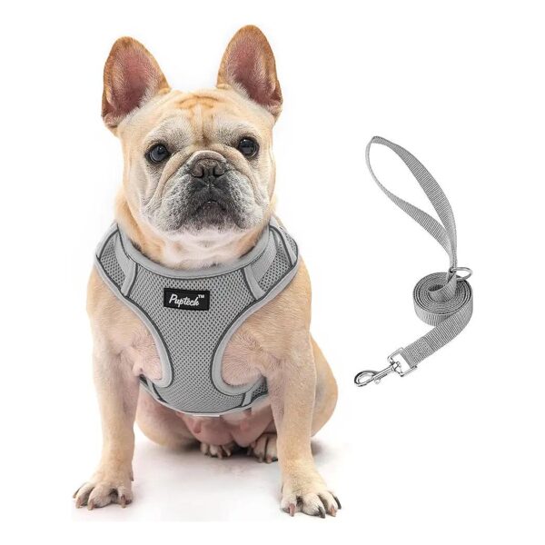 No Pull Dog Harness and Leash Set for Small Medium Dogs Reflective at Night Soft Mesh