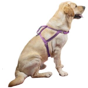 No Pull Dog Harness for Large Dogs Purple Size L Reflective Nylon Vest