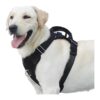 No Pull Dog Harness for Large Dogs with Soft Padded Chest and Neck