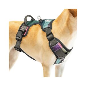 No Pull Dog Harness for Medium Dogs with Adjustable Straps and Leash Clips