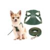 No Pull Dog Harness for Small Medium Dogs with Adjustable Leash and Rose Gold Buckles