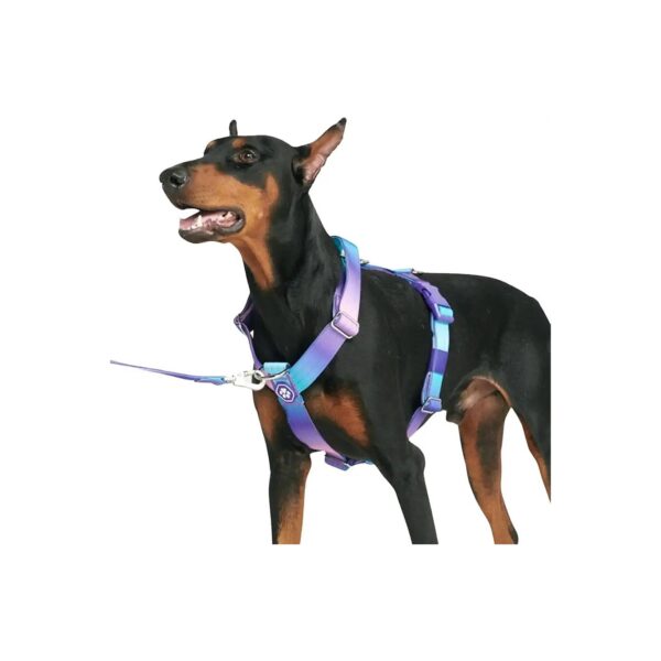 No-Pull Dog Harness for Strong Breeds - Large, 3-Way Adjustable Comfort