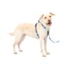 No-Pull Dog Harness with 5 Points of Adjustment and Comfortable Fit