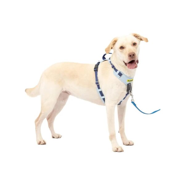 No-Pull Dog Harness with 5 Points of Adjustment and Comfortable Fit