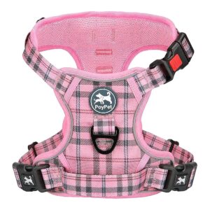 No Pull Dog Harness with Adjustable Neck and Chest Strap for Medium Sized Dogs