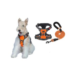 No Pull Dog Harness with Adjustable Straps and High Visibility Leash for Large Breed Dogs