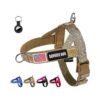 No Pull Dog Harness with Airtag Case and Protection for Small & Medium and Large Dogs