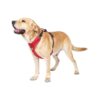 No Pull Dog Harness with Front Leash Clip for Easy Walking and Reduced Pulling