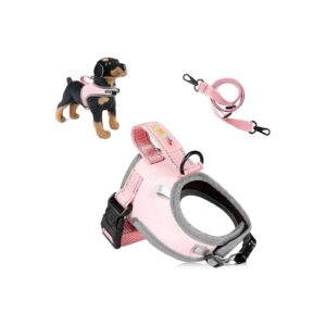 No Pull Dog Harness with Handle and Reflective Stripes for Small to Medium Dogs and Cats