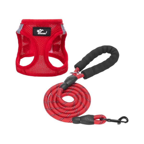 No Pull Dog Harness with Reflective Leash for Small Dogs and Cats Walking