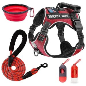 No-Pull Dog Harness with Reflective Straps and Adjustable Strap for Safe Walking