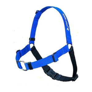 No-Pull Dog Training Harness in Blue Medium Easy to Use Safe and Gentle