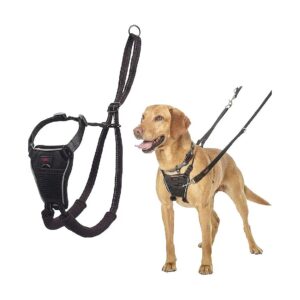 No Pull Harness for Medium Dogs with Comfortable Padded Straps and Adjustable Fit