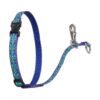 No Pull Leash Harness with Rain Song Pattern for Small-Medium Dogs