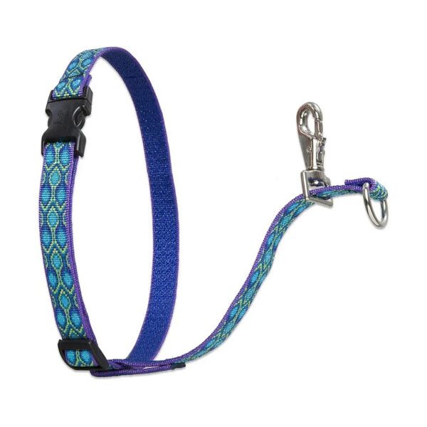 No Pull Leash Harness with Rain Song Pattern for Small-Medium Dogs