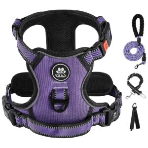 No Pull Medium Dog Harness with Front and Back Clips