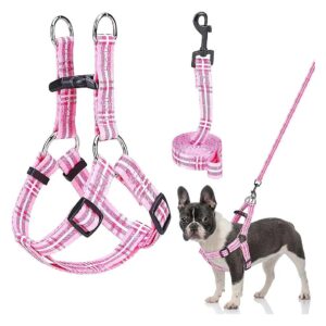 No Pull No Choke Dog Harness and Leash Set for Small Medium Dogs