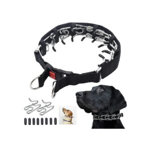 No-Pull Prong Collar for Medium Large Dogs with Comfortable Rubber Tips