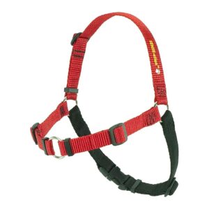 No-Pull Red Small Dog Harness for Patented Front-Leash Attachment