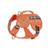 No Pull Tactical Training Dog Harness for Small Medium Dogs with Chest D-Ring