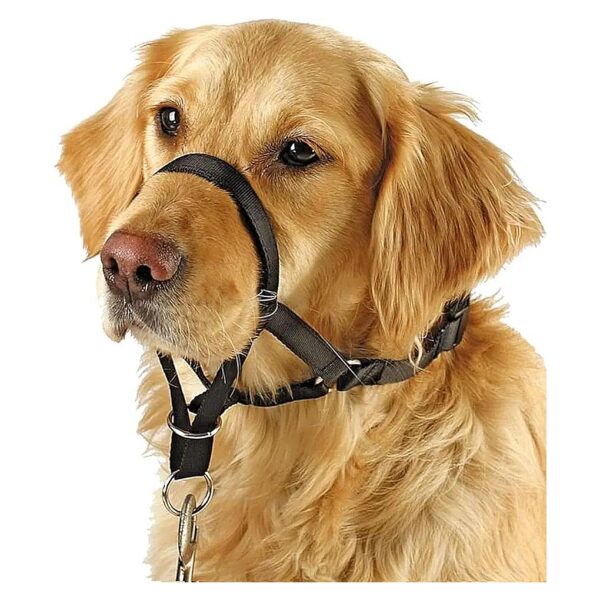 No Pull Training Tool for Dogs with Long Snout with Customized Fit and Guide