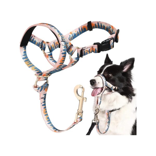 No Pull and Leash Control Head Collar for Small Medium Large Dogs with Nylon Webbing