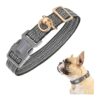 No-Tangle Adjustable Dog Collar with Heavy Duty Metal D Ring and Tough Nylon Material