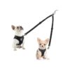 No-Tangle Design in Black Metal Dual Dog Leash for Two Small to Large Breeds