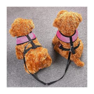 No Tangle Durable Dual Dog Leash Strap for Small Pets Walking Training