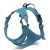 No-Tugging Large Blue Dog Harness with Reflective Vests