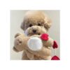 Noisy Teddy Bear Dog Toy with IQ Treat Puzzle for Small and Medium Dogs