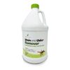 Non-Toxic, Biodegradable Stain And Odor Remover For Carpet, Pet Stains, And Odors