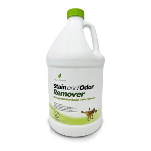 Non-Toxic, Biodegradable Stain And Odor Remover For Carpet, Pet Stains, And Odors