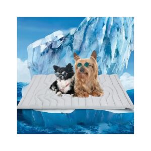 Non-Toxic Gel Cooling Pad for Dogs and Cats, 36 x 23 Inch, Reversible Design