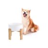 Nonslip Dog Food and Water Bowl Stand for Large Dogs with Extra Large Capacity