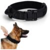 Nylon Dog Collar with Adjustable Size and Control Handle for Medium to Large Breed Dogs