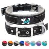 Nylon Dog Collar with Durable Metal Buckle and Strap for Small Medium Large Dogs