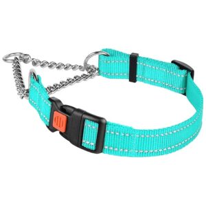 Nylon Dog Collar with Stainless Steel Chain and Safety Locking Buckle for Maximum Control