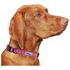 Nylon Dog Collars for Dogs with Adjustable Length and Breast Cancer Pattern