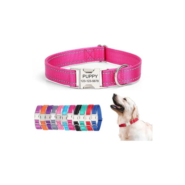 Nylon Dog Collars with Metal Buckle and Customizable Nameplate for Dogs of All Sizes