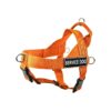 Nylon Dog Harness in Solid Orange Color with Adjustable Straps