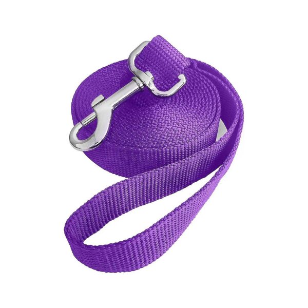 Nylon Dog Leash 10FT Purple for Training Parks or Fetch