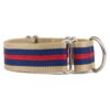 Nylon Martingale Collar for Dogs with Stripe Design and Adjustable Fit