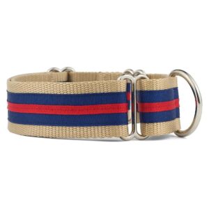 Nylon Martingale Collar for Dogs with Stripe Design and Adjustable Fit