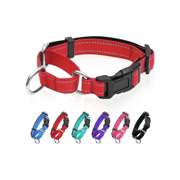 Nylon Martingale Dog Collar with Quick Release Buckle and Soft Padded Design for Comfort