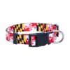 Nylon Maryland Dog Collar with Maryland Flag Pattern, Size 16-26 inches