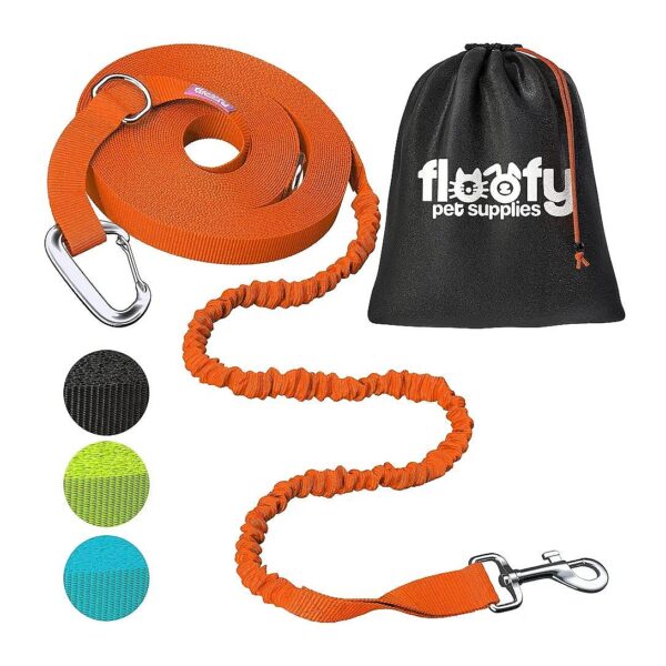 Nylon Orange Dog Training Leash with Shock Absorbing Bungee for Agility