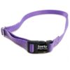 Nylon Pet Collar Strap Compatibility Compatible Wireless Fences Lavender