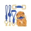 Nylon Puppy Toys for Aggressive Chewers, 4 Pcs