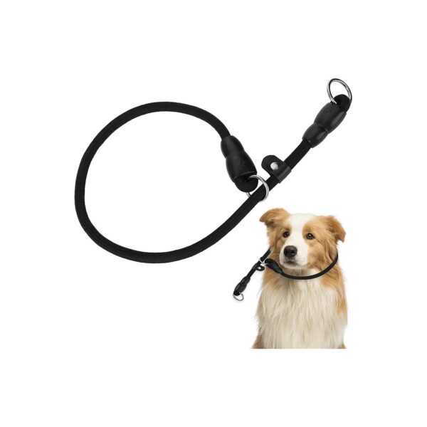 Nylon Slip Collar Dog Training Choke Collar No Pull P-Collar Small Medium Large Dogs